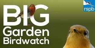 Bird Watch logo